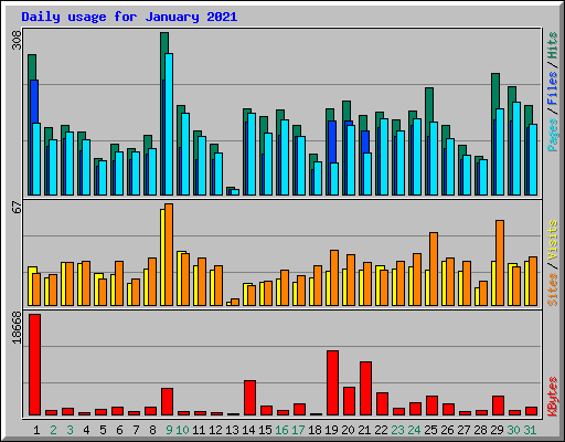Daily usage for January 2021
