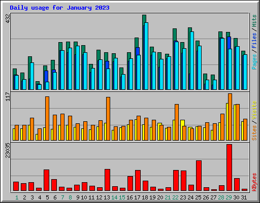 Daily usage for January 2023