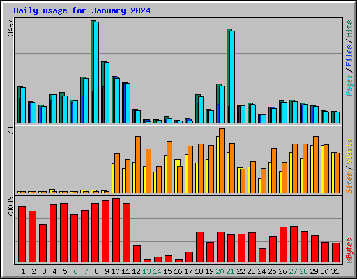 Daily usage for January 2024