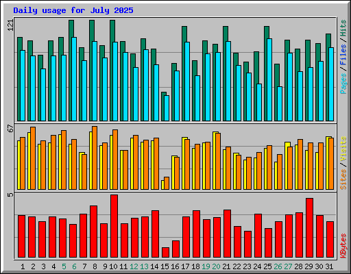 Daily usage for July 2025