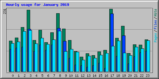 Hourly usage for January 2019