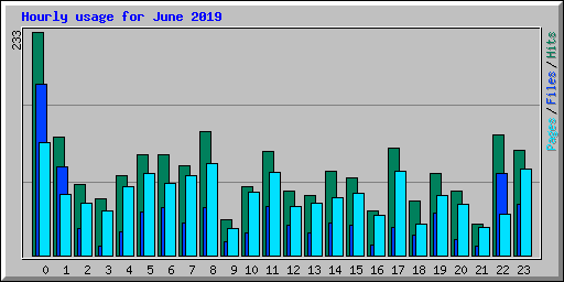 Hourly usage for June 2019