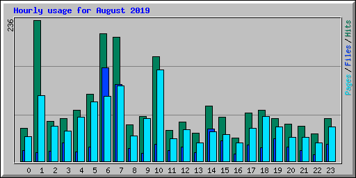 Hourly usage for August 2019
