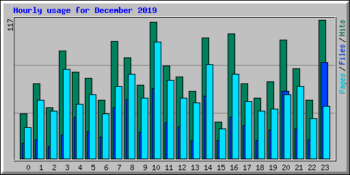 Hourly usage for December 2019