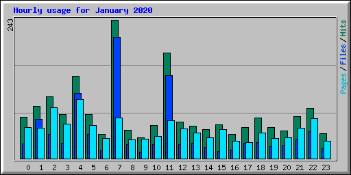 Hourly usage for January 2020