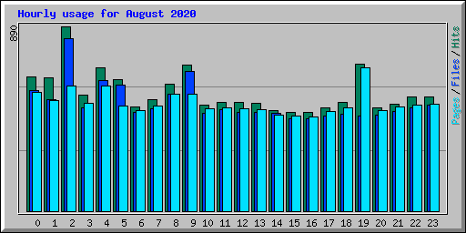 Hourly usage for August 2020