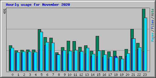 Hourly usage for November 2020