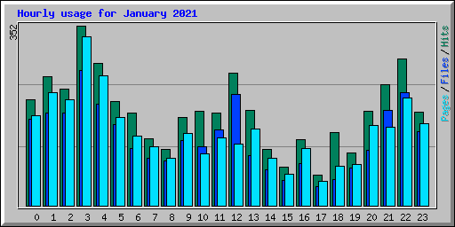 Hourly usage for January 2021