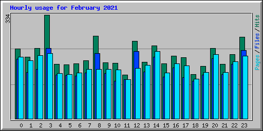 Hourly usage for February 2021