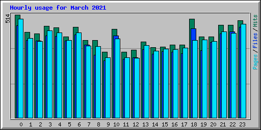 Hourly usage for March 2021