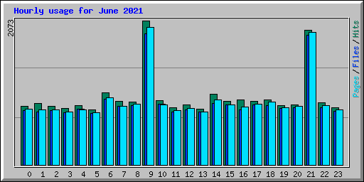Hourly usage for June 2021
