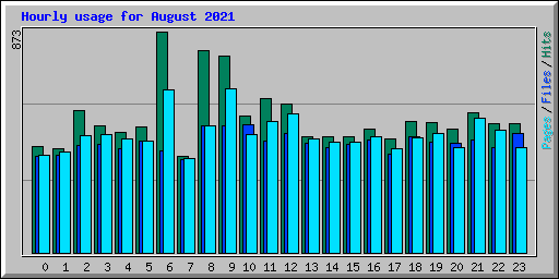 Hourly usage for August 2021