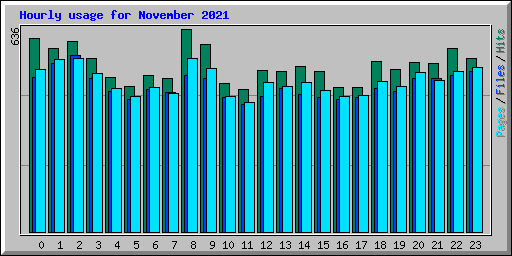 Hourly usage for November 2021
