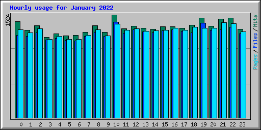 Hourly usage for January 2022