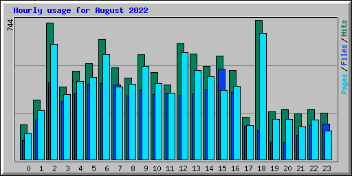 Hourly usage for August 2022