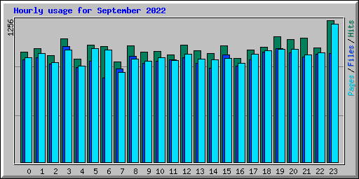 Hourly usage for September 2022