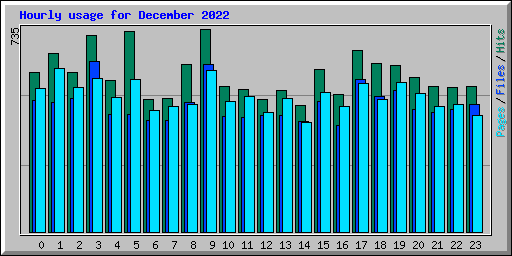 Hourly usage for December 2022