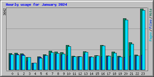 Hourly usage for January 2024
