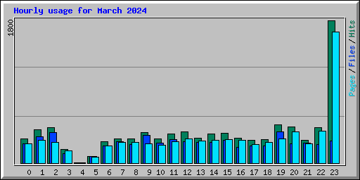 Hourly usage for March 2024