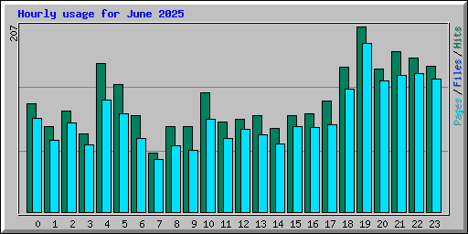 Hourly usage for June 2025