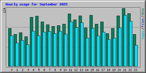 Hourly usage for September 2025