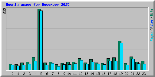 Hourly usage for December 2025