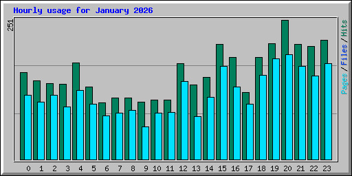 Hourly usage for January 2026