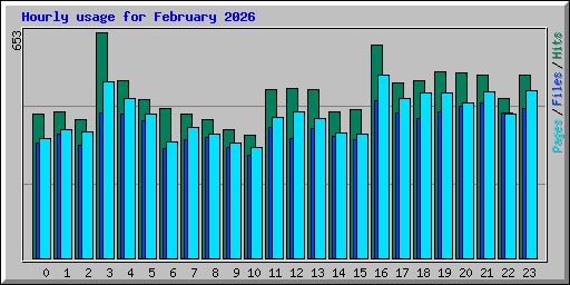 Hourly usage for February 2026